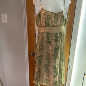 Ladies Elegant Dress